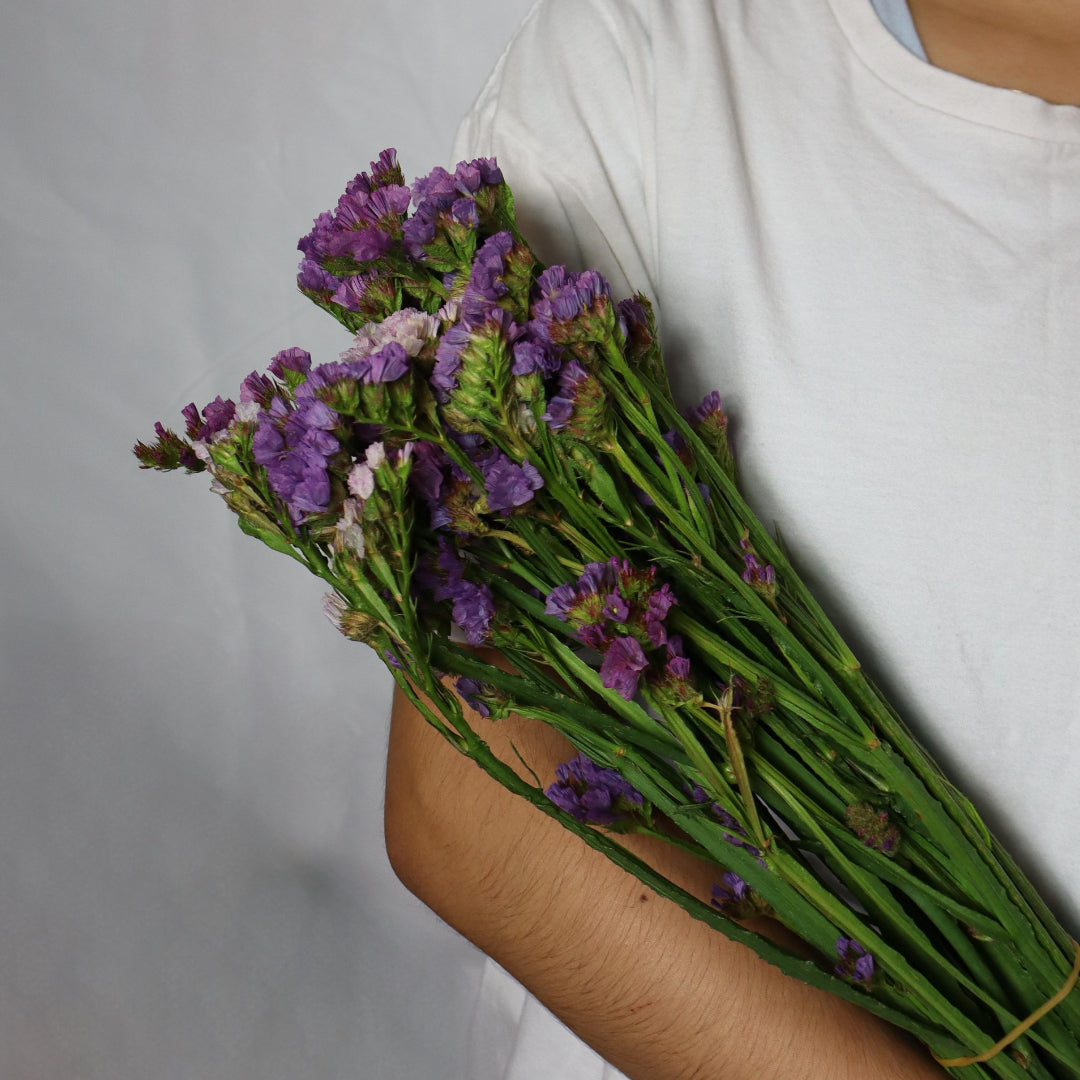 Statice Flower