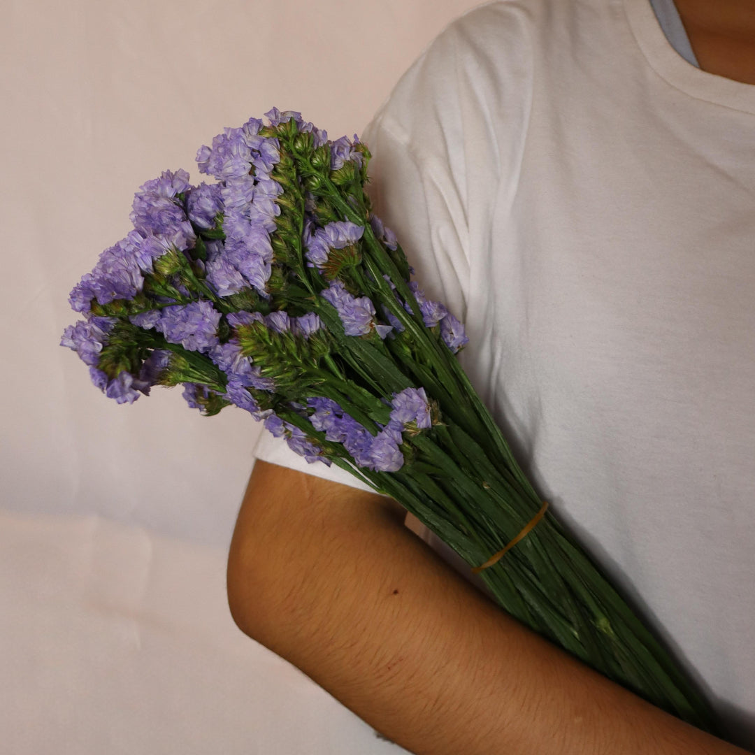 Stocks (Various Colors)