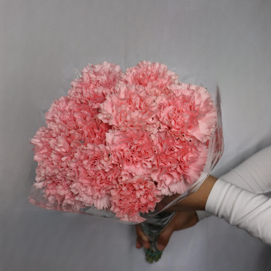 Carnations(Various Colors)
