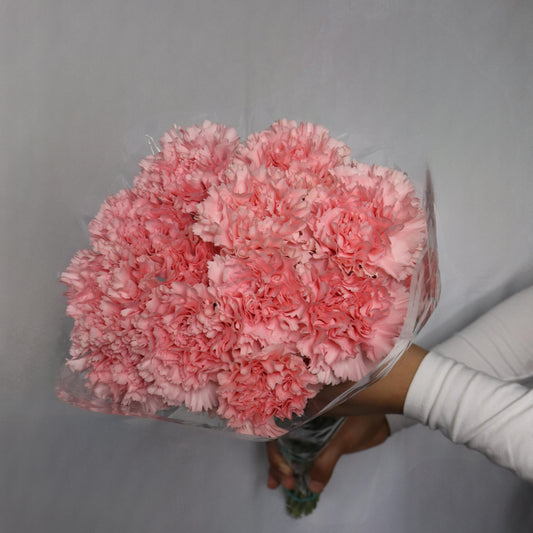 Carnations(Various Colors)