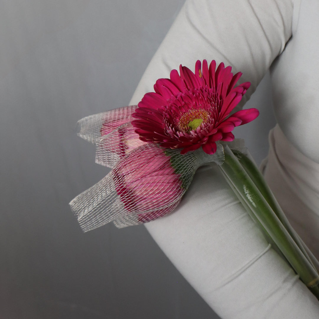 Gerbera(Various Colors)
