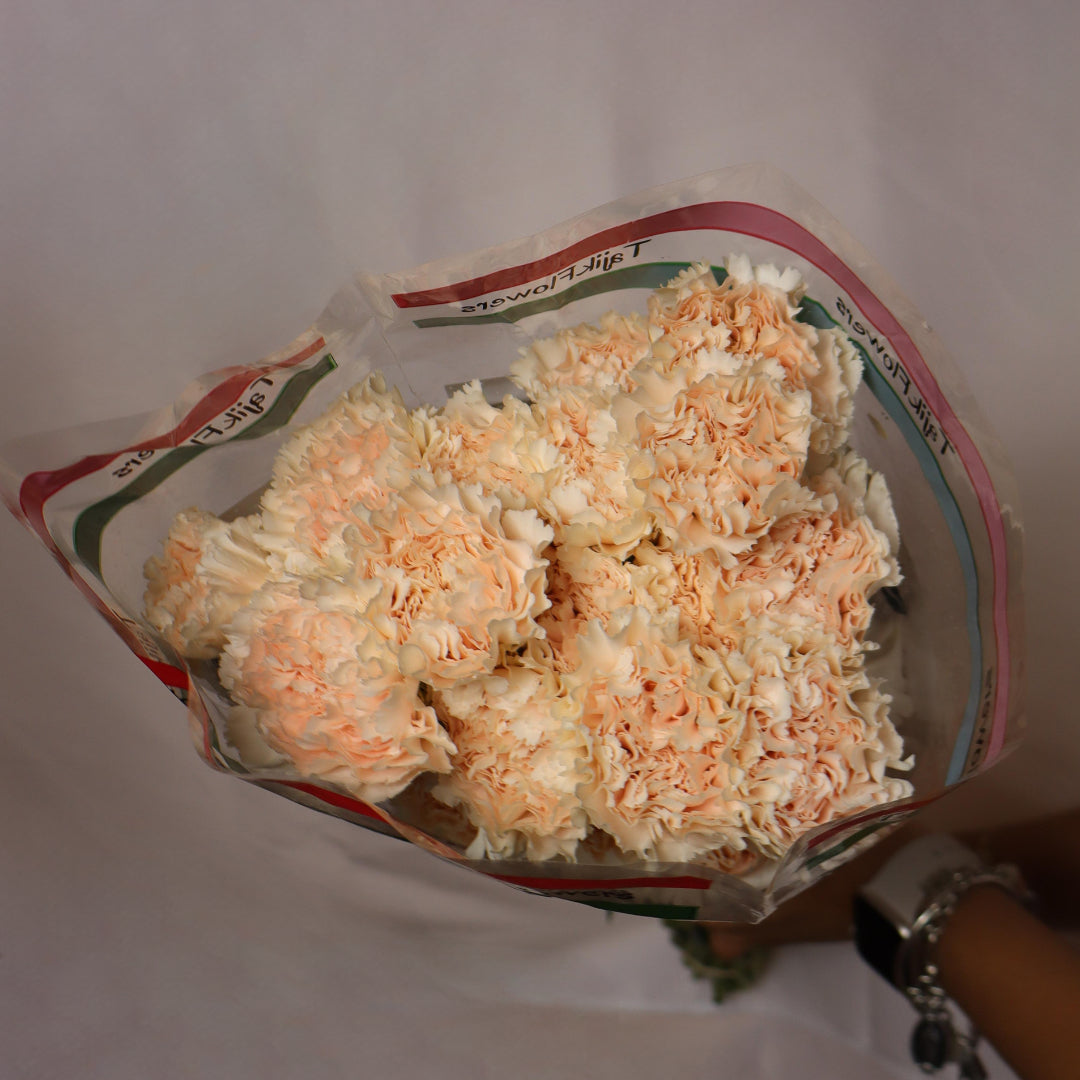 Carnations(Various Colors)