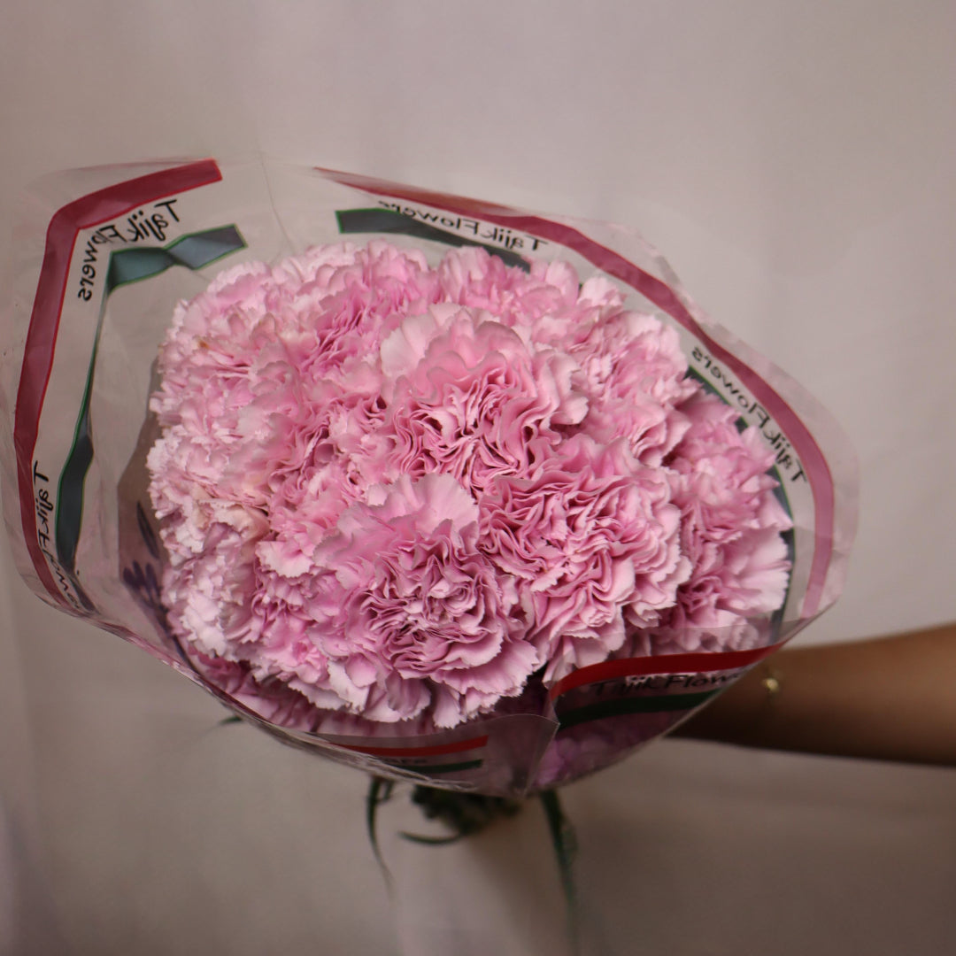 Carnations(Various Colors)