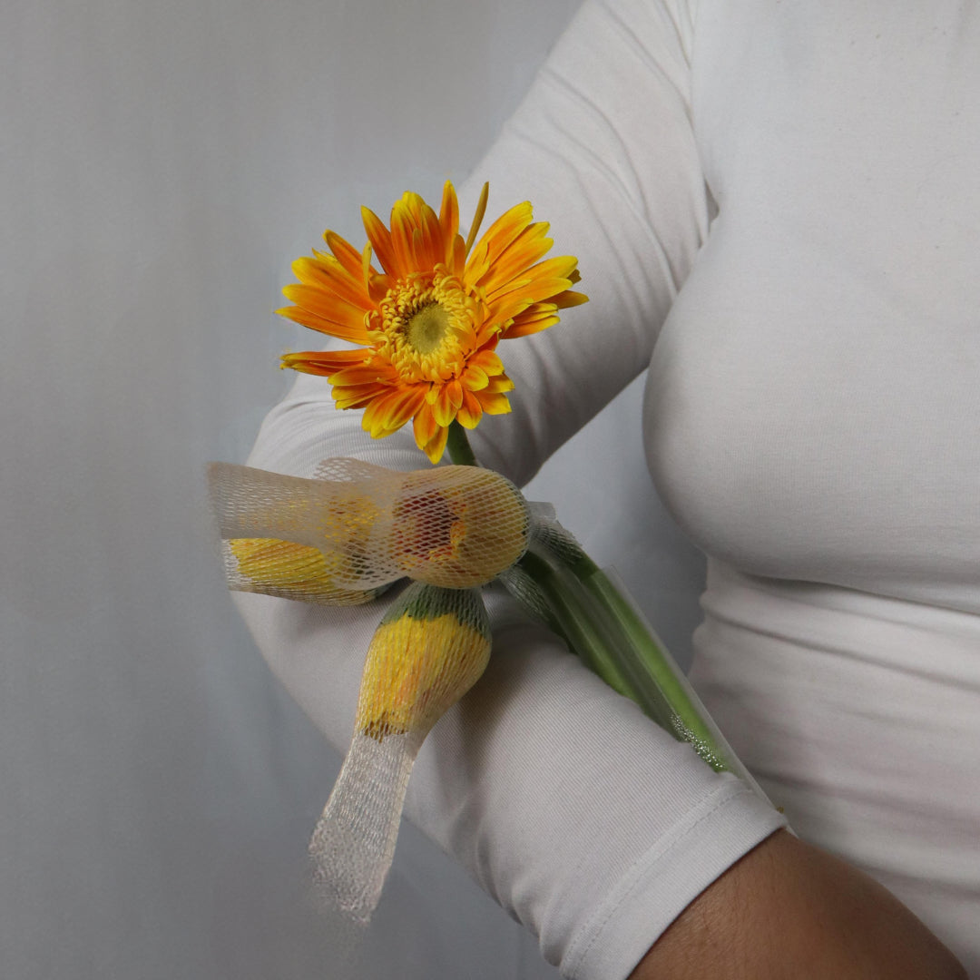 Gerbera(Various Colors)