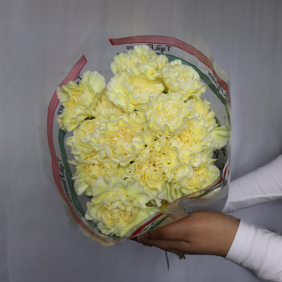 Carnations(Various Colors)