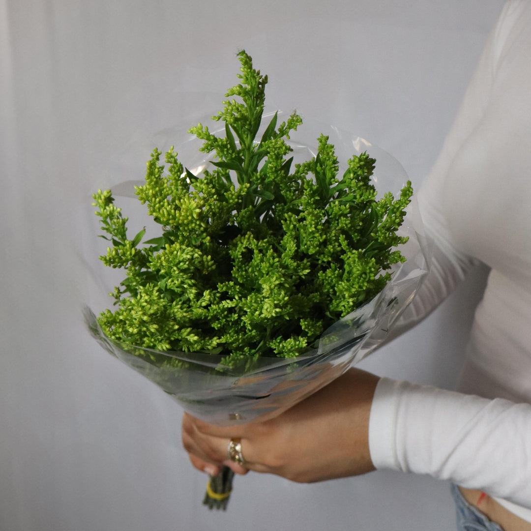 Statice Flower (Various Colors)