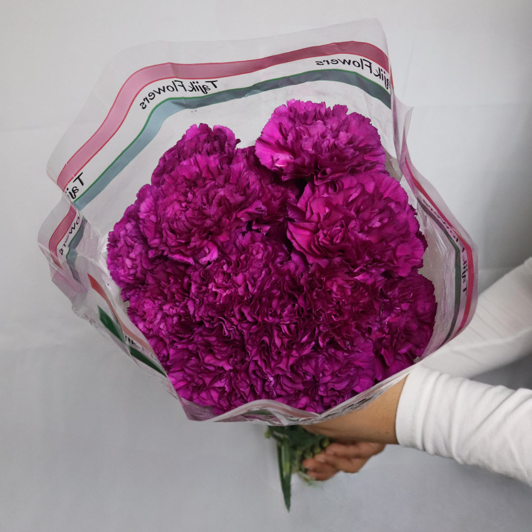 Carnations(Various Colors)