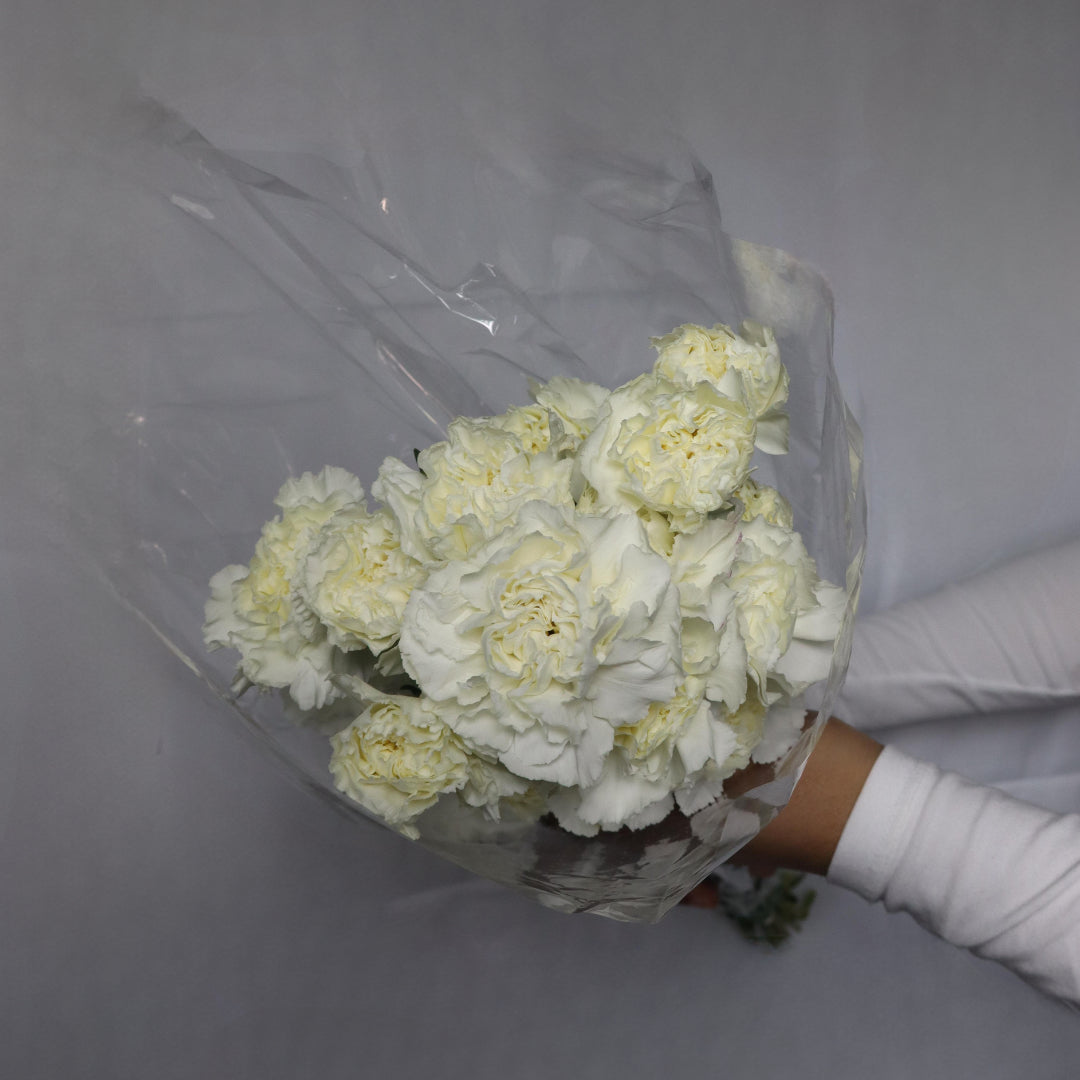 Carnations(Various Colors)